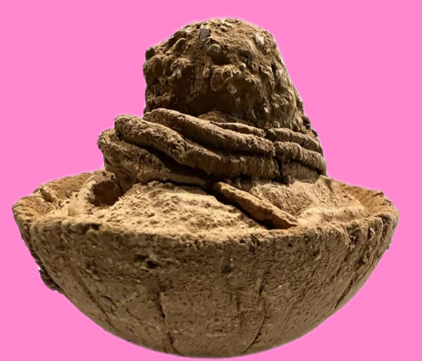 Ferrero Mousse