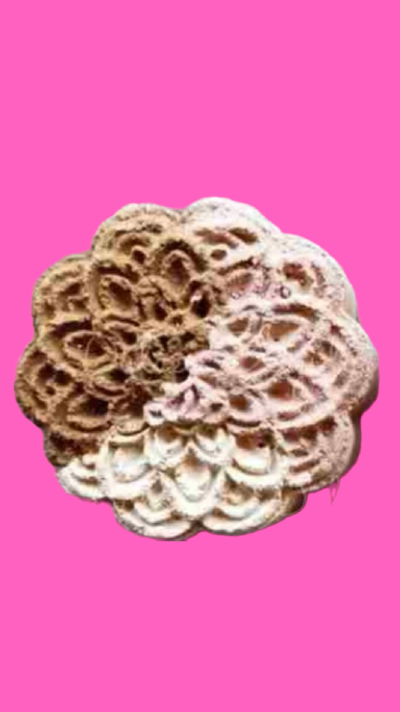 Napolitana Tri sabor