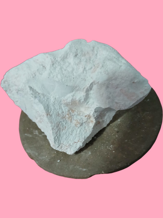 Crema de Coco 50g